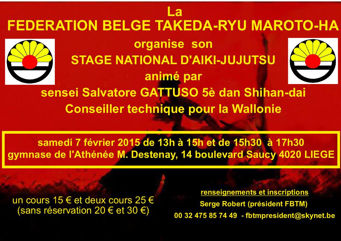 Affiche annonce stage national 7 février 2015