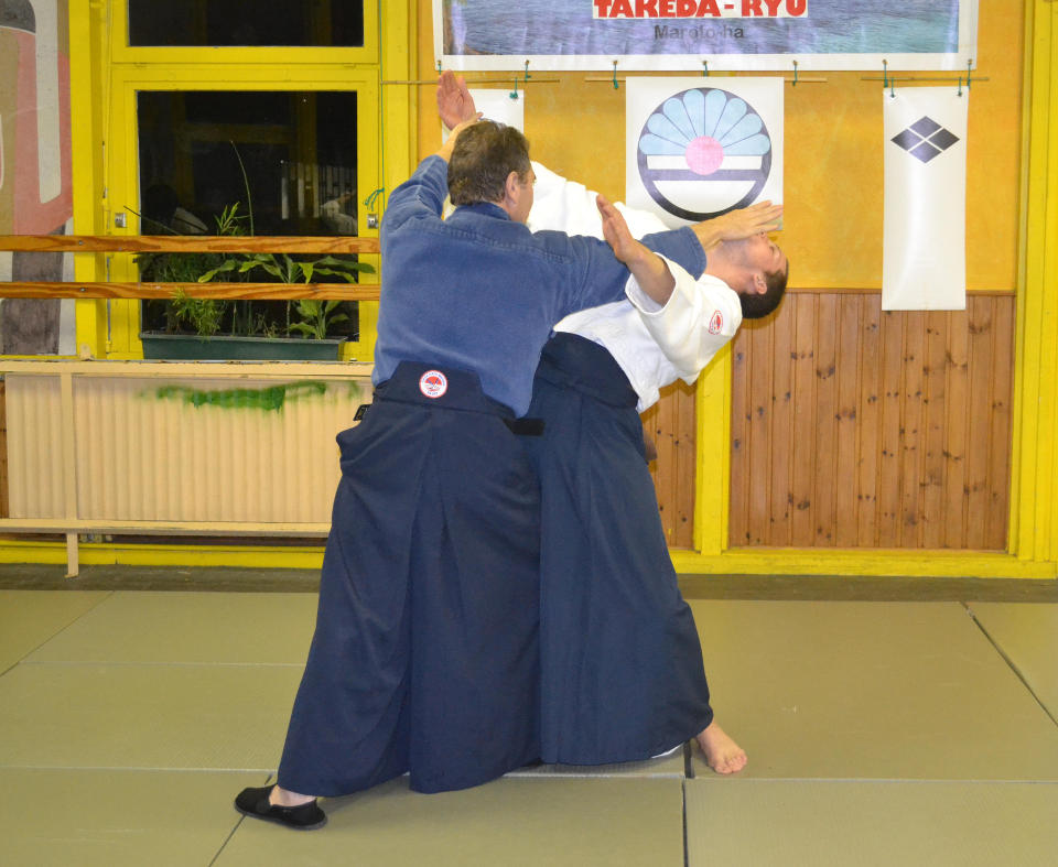 20131100_no-cours_aikijujutsu_2_ex1_0062.jpg